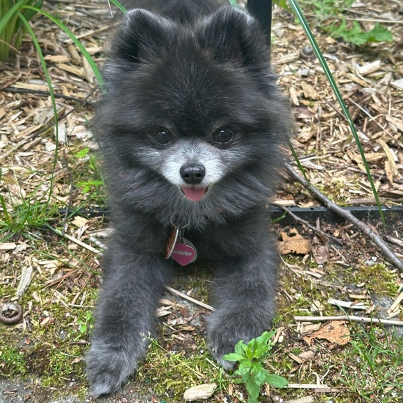 Welcome To My Closet - Picture 9 of 16